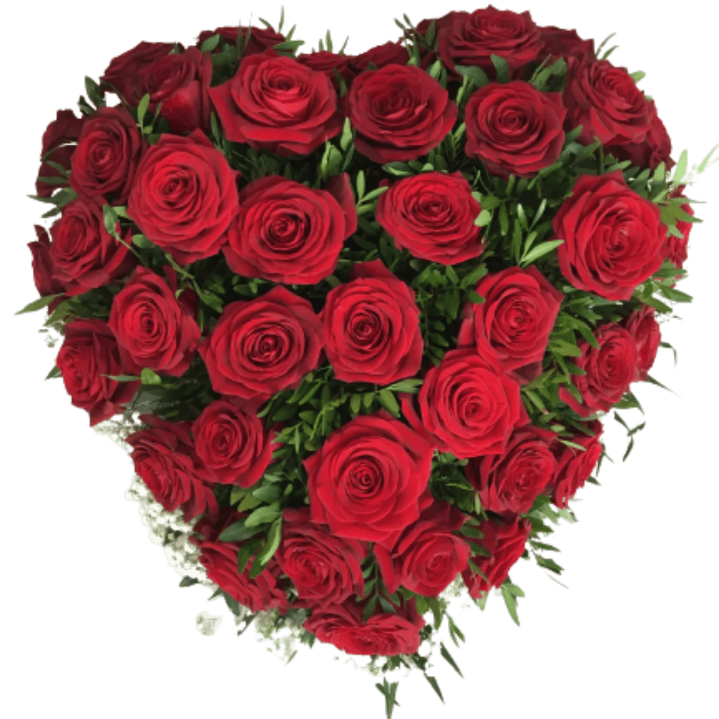 Amour