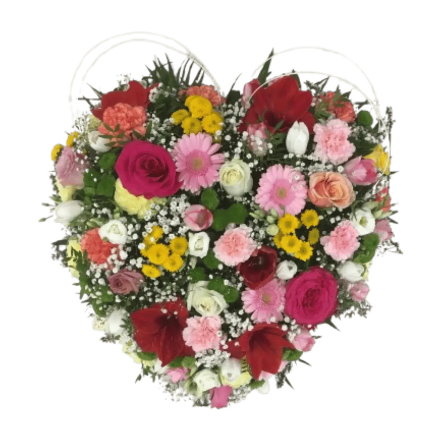 Coeur pastel Bucolique, Halle Brauhauban Tarbes 65 Hautes-Pyrénées