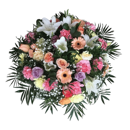 Coussin Douceur pêche & crème, Halle Brauhauban Tarbes 65 Hautes-Pyrénées