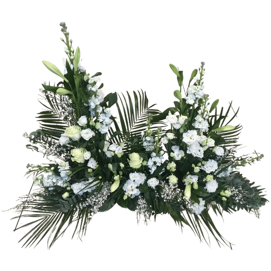 Composition Éternel blanc-vert, Halle Brauhauban Tarbes 65 Hautes-Pyrénées