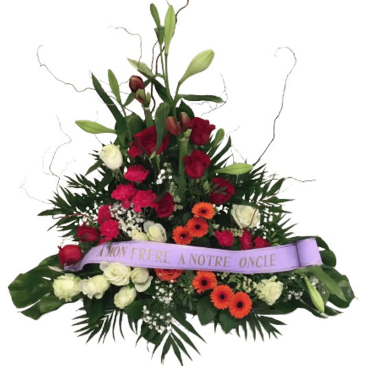 Devant cercueil Intemporel bicolore, Halle Brauhauban Tarbes 65 Hautes-Pyrénées