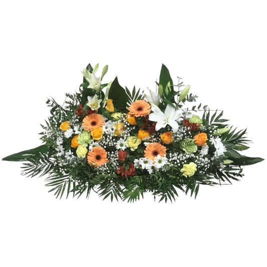 Devant cercueil Solis tons chauds, Halle Brauhauban Tarbes 65 Hautes-Pyrénées