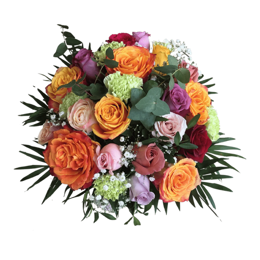 Dianthus